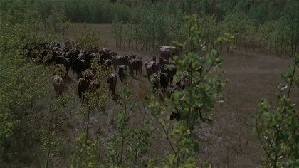 Poster for Broken Trail - Part 2