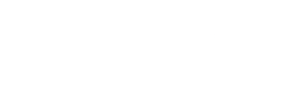 The Shadow Effect logo