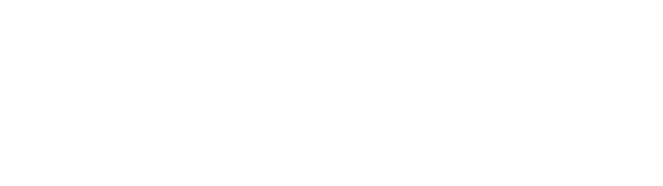 Midnight Special logo