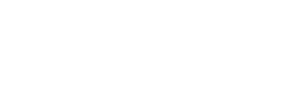 Secret Window logo
