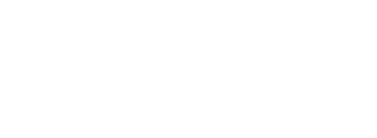 The Summer Book logo