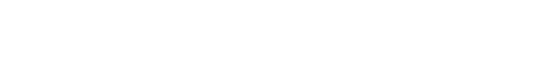 The Secret Life of Bees logo