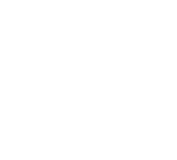 The Dirty South logo