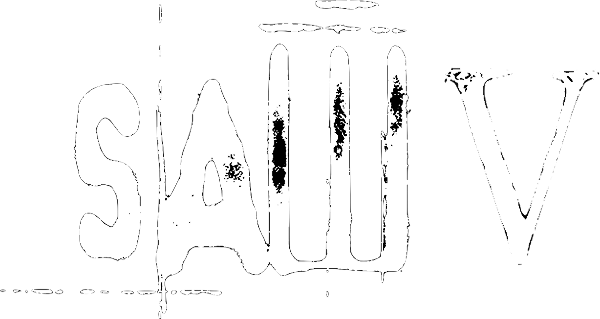 Saw V logo
