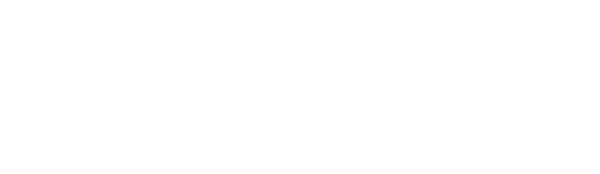 Bird Box Barcelona logo