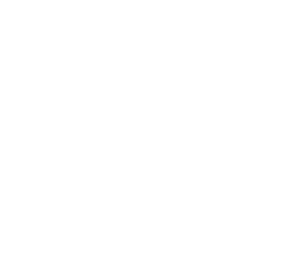 100 Nights of Hero logo