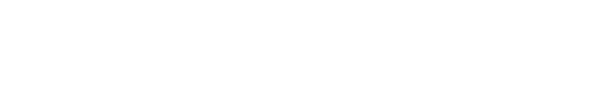 Stowaway logo