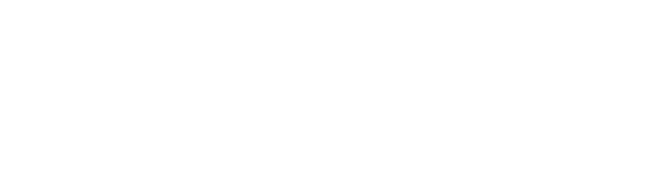 The Twister: Caught in the Storm logo