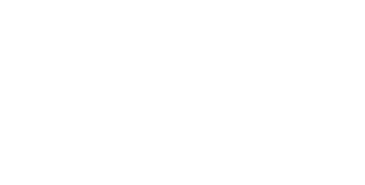 The Lion King 1½ logo