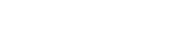 The Next 365 Days logo