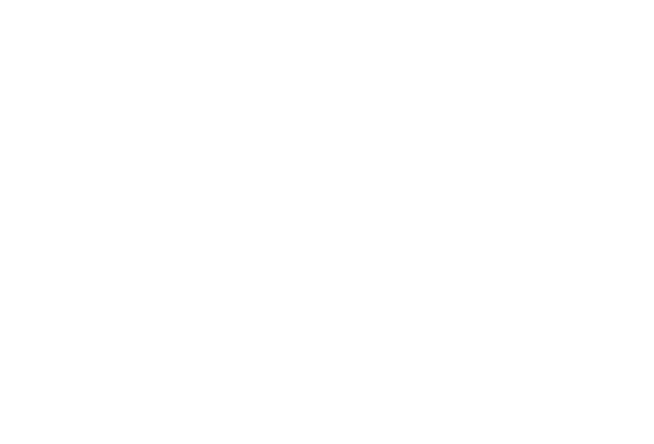 An Ice Palace Romance logo