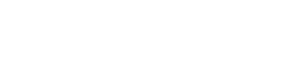 The Punisher logo
