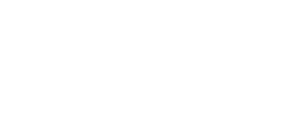 A Novel Noel logo