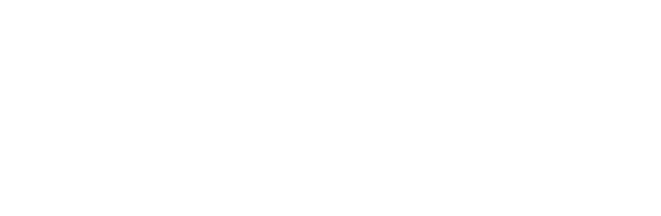 The Lost Husband logo