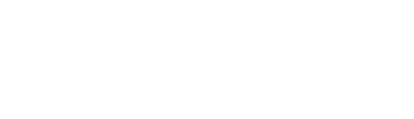 Observe and Report logo