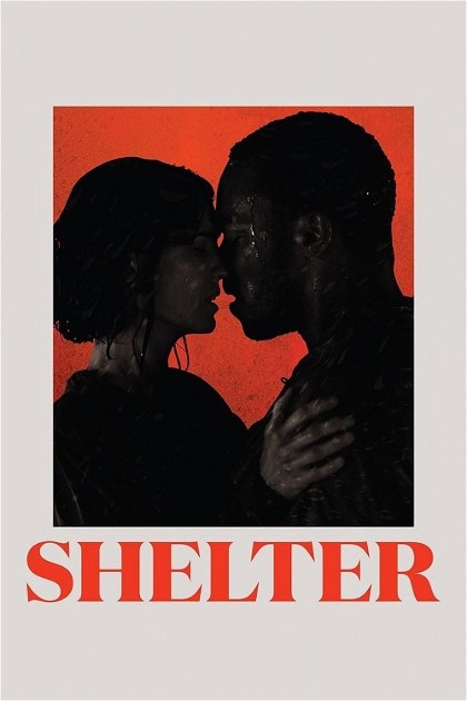 Poster for Shelter