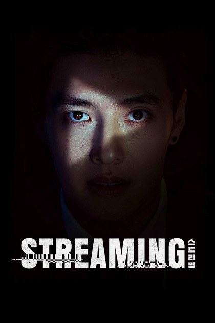 Poster for Streaming