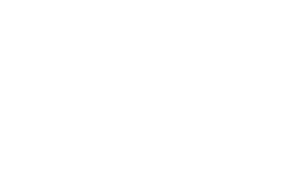 Lemonade Mouth logo