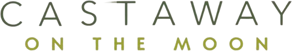 Castaway on the Moon logo