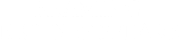 Framing Britney Spears logo