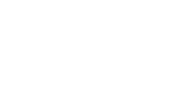 Confidential Assignment logo