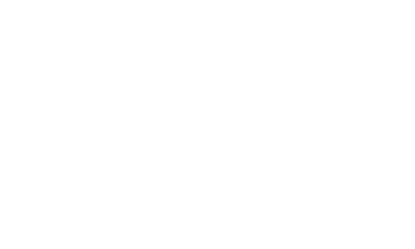 Nighthawks logo