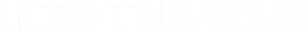 Into the Wild logo