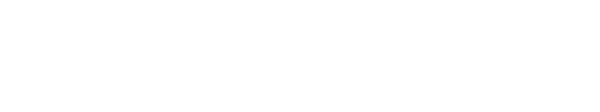 The Village logo