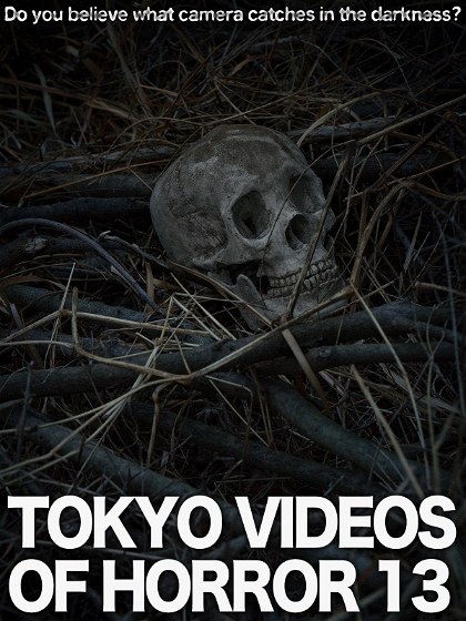 Poster for Tokyo Videos of Horror 13