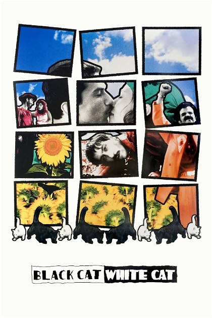 Poster for Black Cat, White Cat