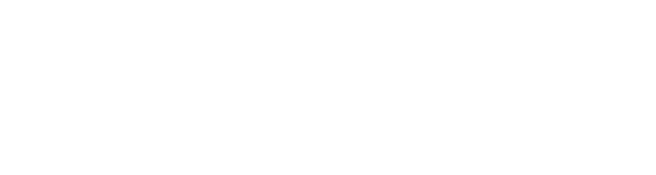 Private Princess Christmas logo