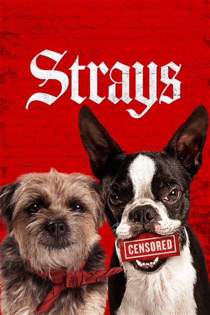 Poster for Strays