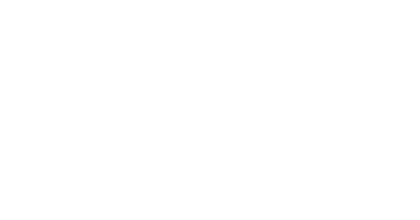 True Romance logo