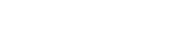 Casanova logo