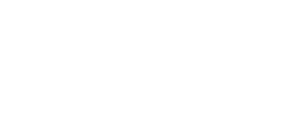 The Big Wedding logo