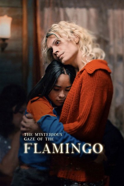 Poster for The Mysterious Gaze of the Flamingo
