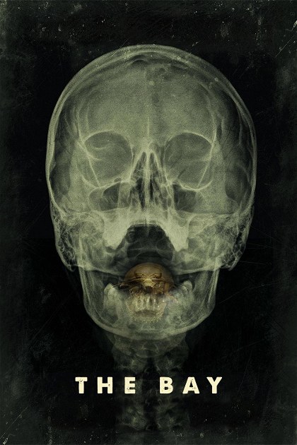 Poster for The Bay