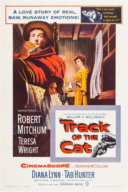Poster for Track of the Cat