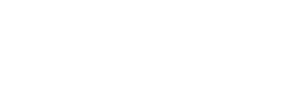 Boyhood logo