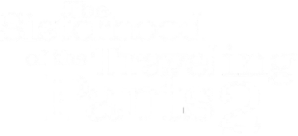 The Sisterhood of the Traveling Pants 2 logo