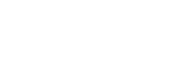 Through the Fire logo