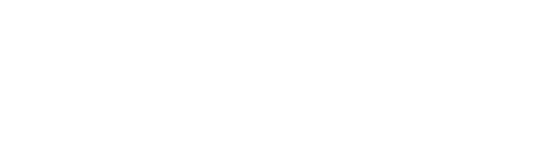The Insult logo