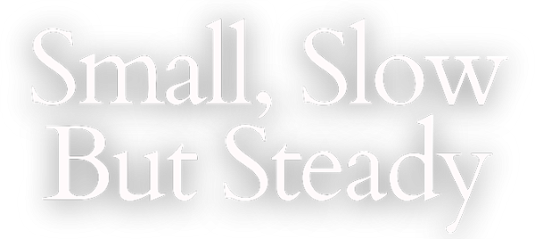 Small, Slow But Steady logo