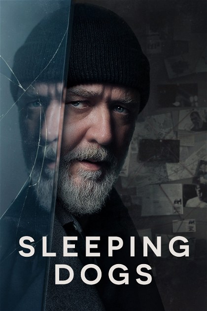 Poster for Sleeping Dogs