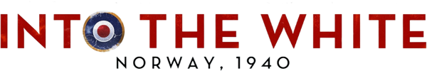 Into the White logo