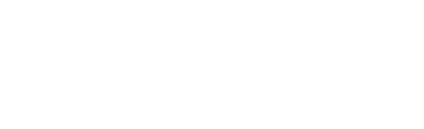 Shane logo