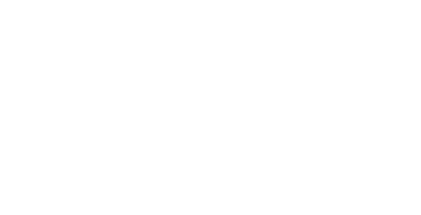 3 Ninjas logo