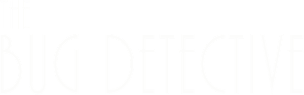 Inspector Sun and the Curse of the Black Widow logo