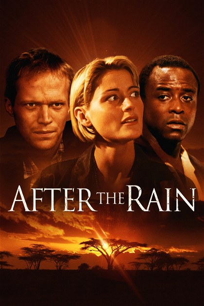Poster for After the Rain