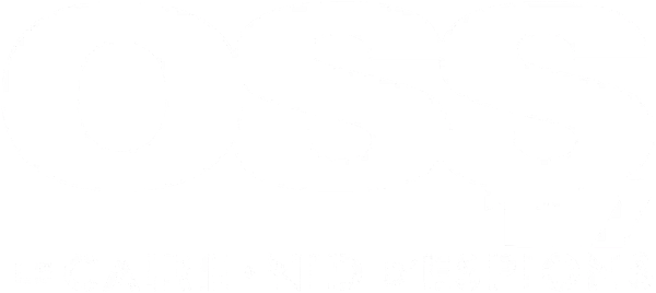 OSS 117: Cairo, Nest of Spies logo